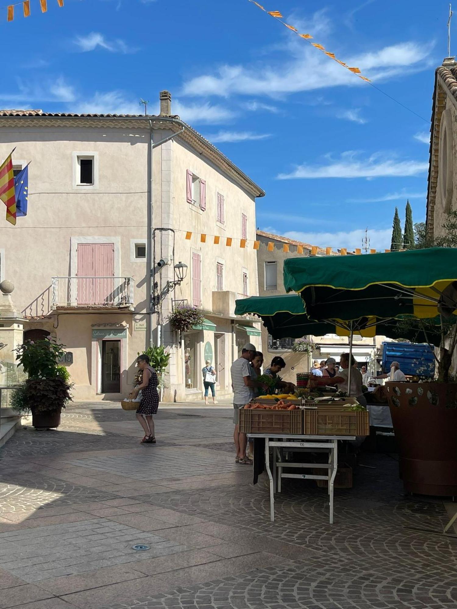 Apartament Coeur De Provence Gréoux-les-Bains Zewnętrze zdjęcie